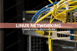 Career Paths in Linux Networking: An Overview